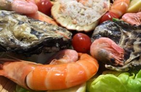   Wholesale Fish Supplies to Caterers